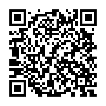 QR code for 393067