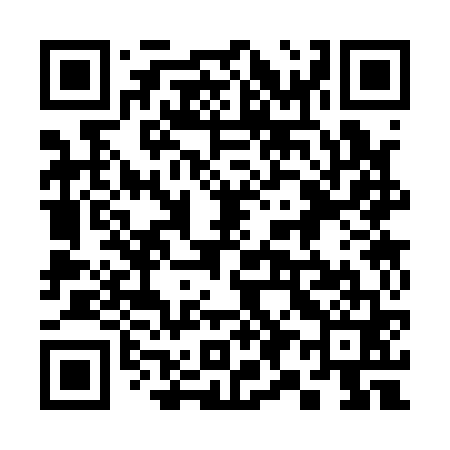 QR code for 393161