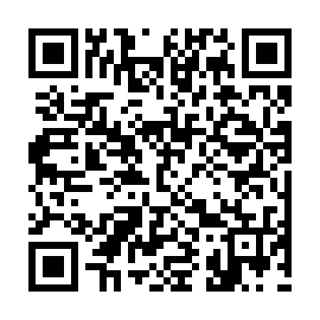 QR code for 393235