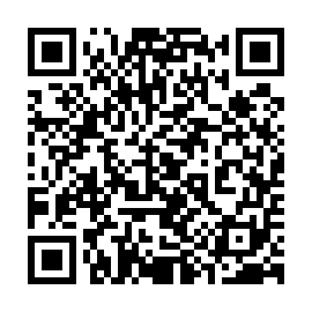 QR code for 393551