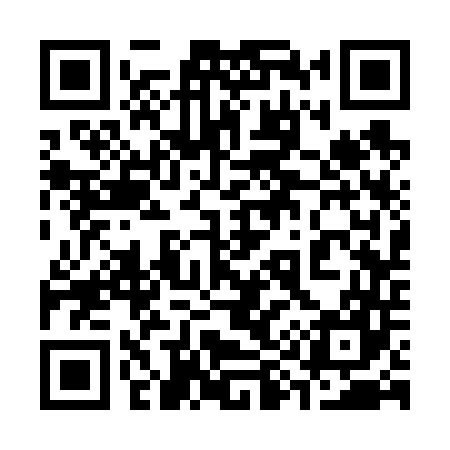 QR code for 393647