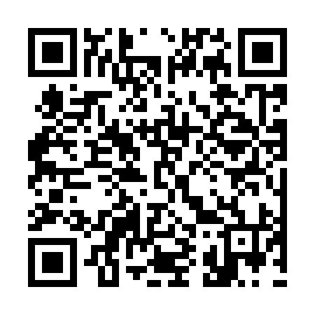 QR code for 393994