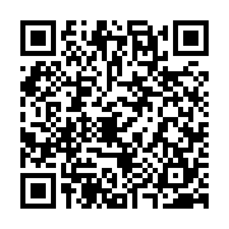 QR code for 3968741