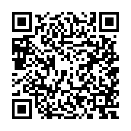 QR code for 3975867
