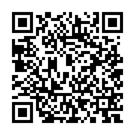 QR code for 3977611