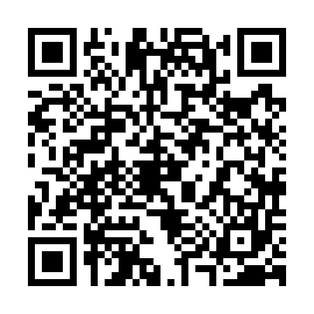 QR code for 3987575