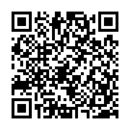 QR code for 3997668