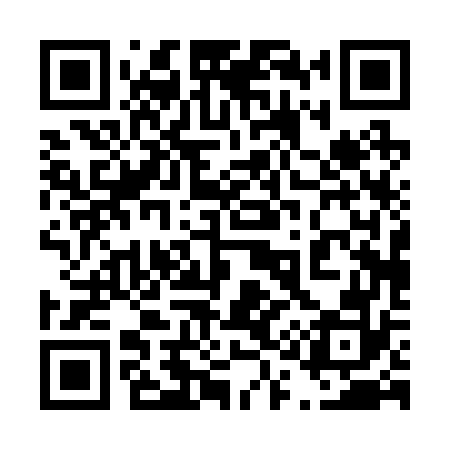 QR code for 410272