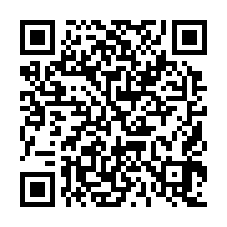 QR code for 411343