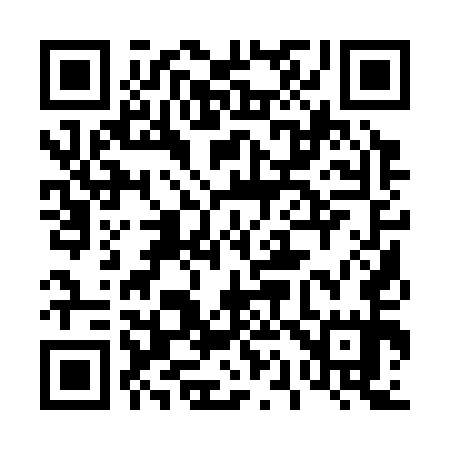 QR code for 411355
