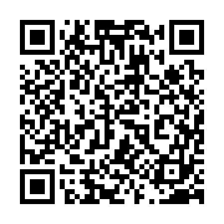 QR code for 411373