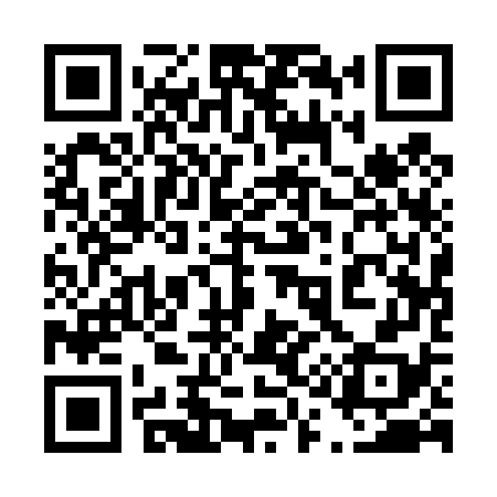 QR code for 411478