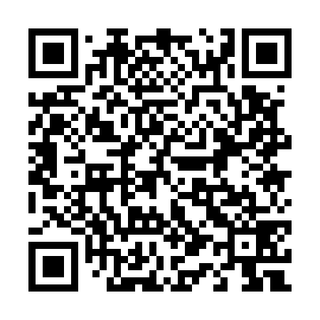 QR code for 411579