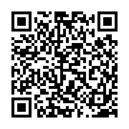 QR code for 411733