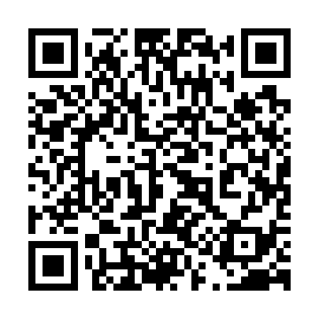 QR code for 411739