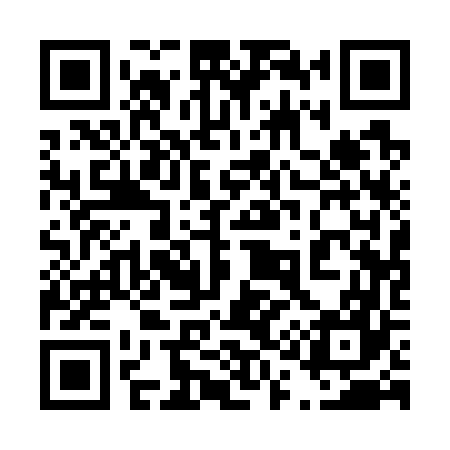 QR code for 411767