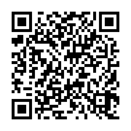 QR code for 411808