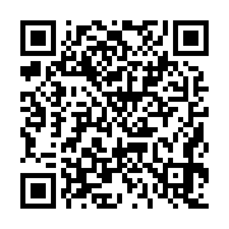 QR code for 411873