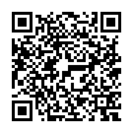 QR code for 4119738