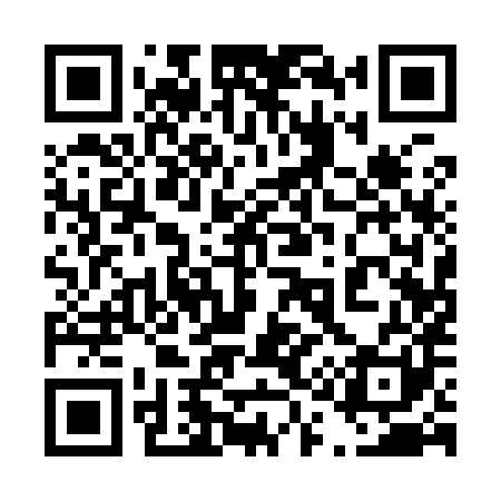 QR code for 411981