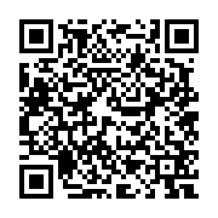 QR code for 4124624