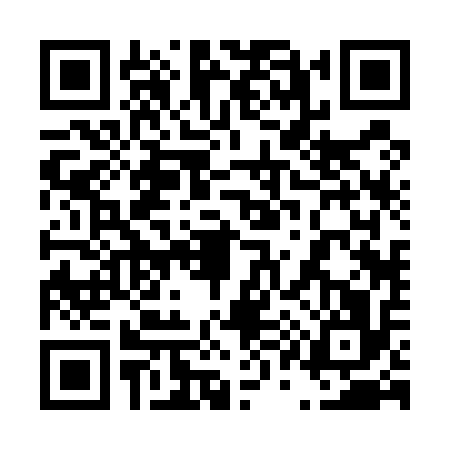 QR code for 4125161