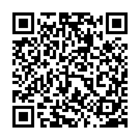 QR code for 413868