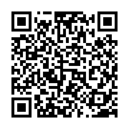QR code for 419238