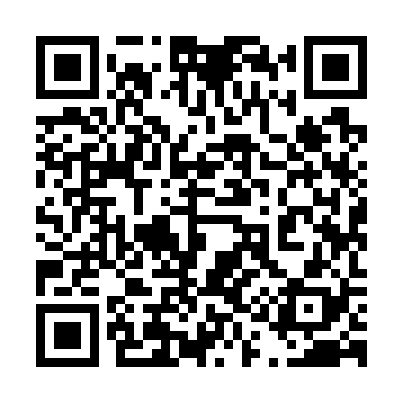 QR code for 419728