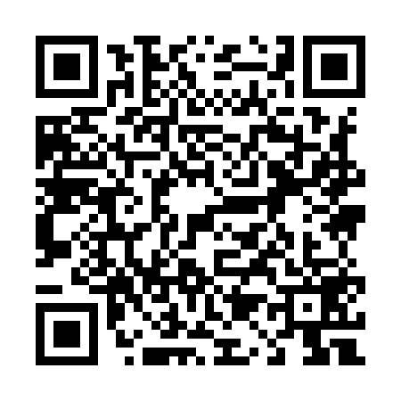 QR code for 4199591