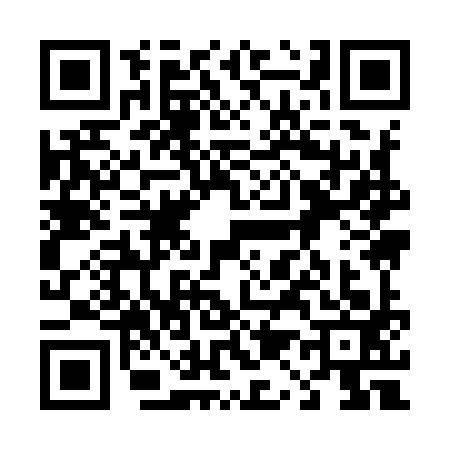 QR code for 4199934