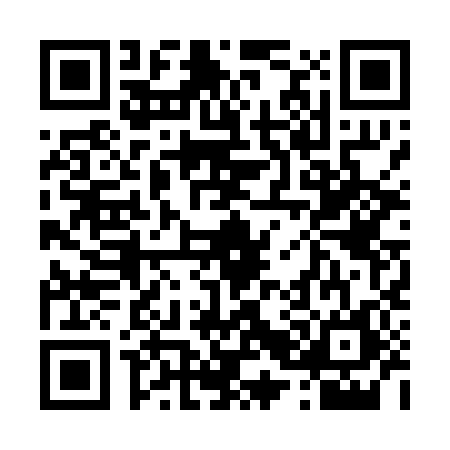 QR code for 4200863