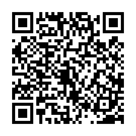 QR code for 4204038