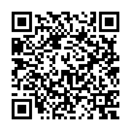 QR code for 4238313