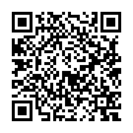 QR code for 4238370