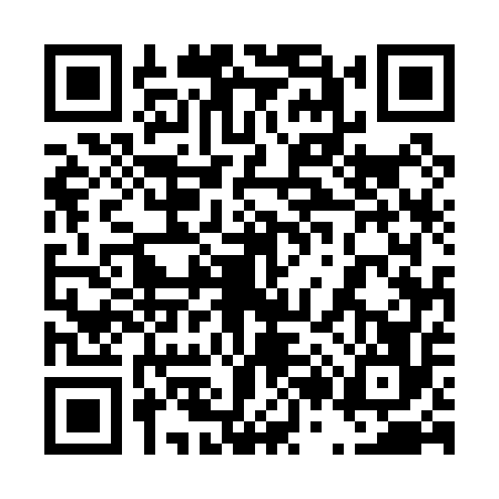 QR code for 4250565
