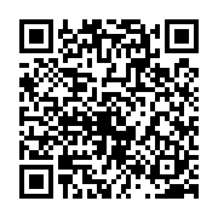 QR code for 4295238