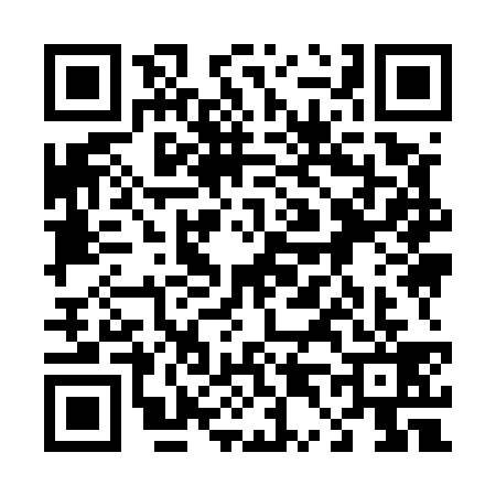 QR code for 4495393