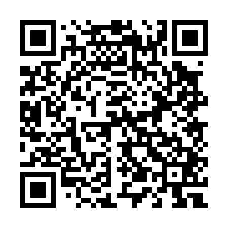 QR code for 450041