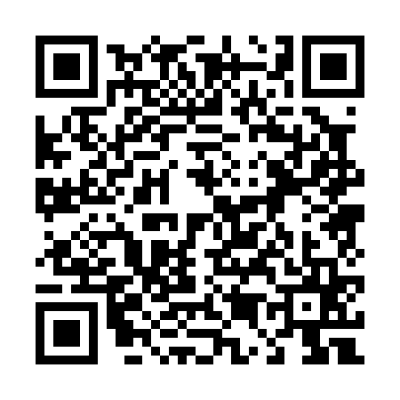 QR code for 4500656