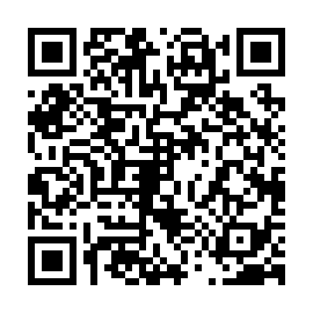 QR code for 4502392