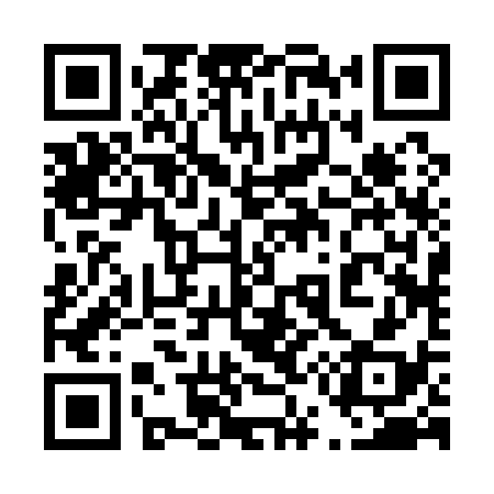 QR code for 452138