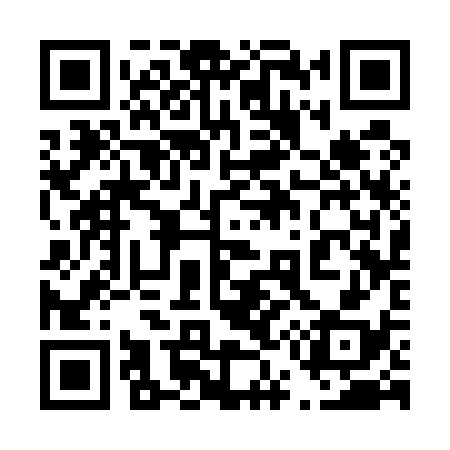 QR code for 453538