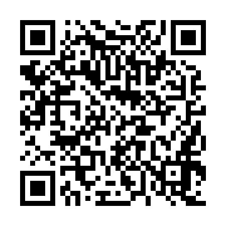 QR code for 462856