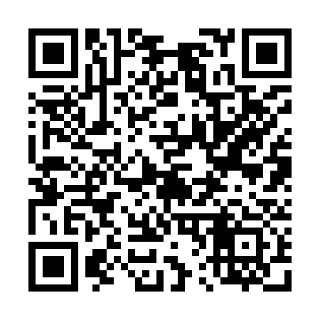 QR code for 462933