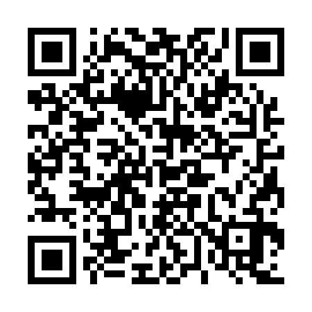 QR code for 463132