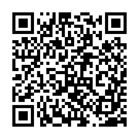 QR code for 463252