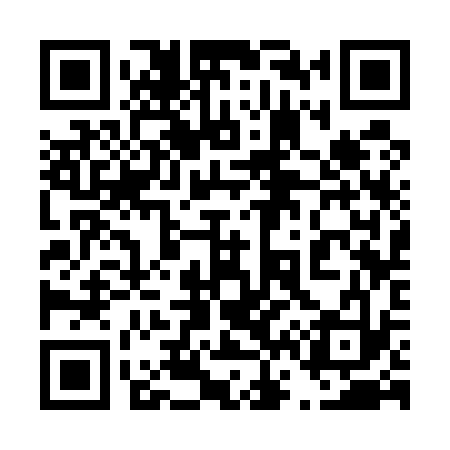 QR code for 463533