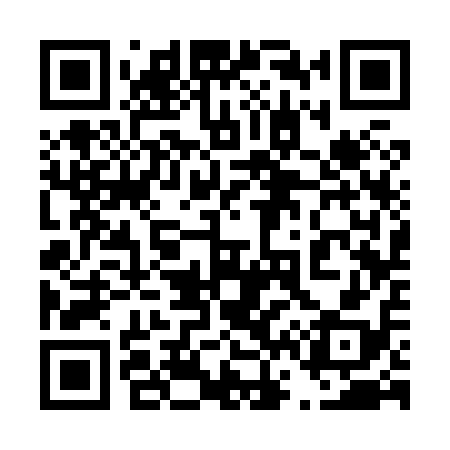 QR code for 463818