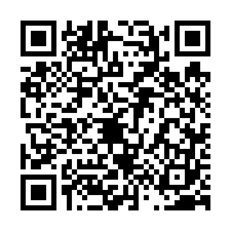 QR code for 4666638
